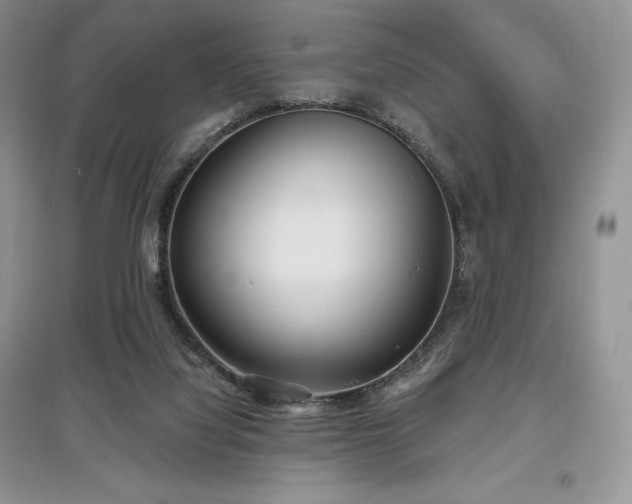 X0000097630068200803071540