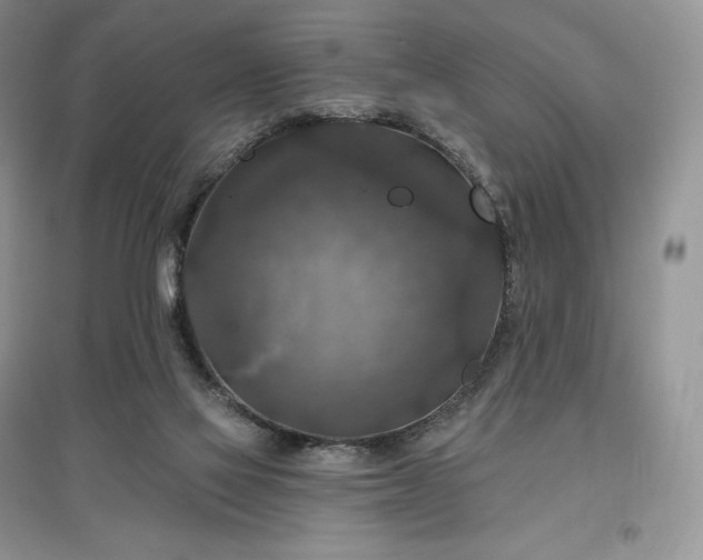 X0000097630069200803071540