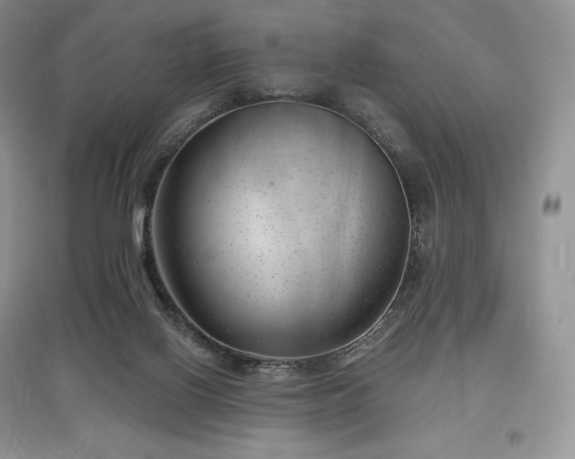 X0000097630070200803071540