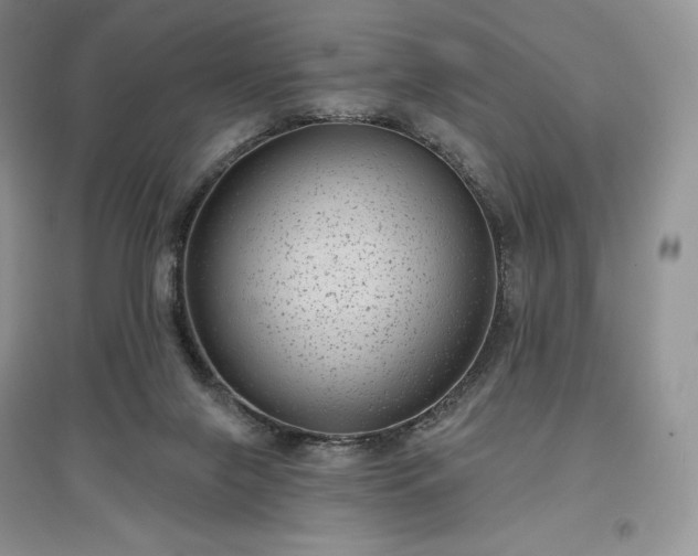 X0000097630071200803071540