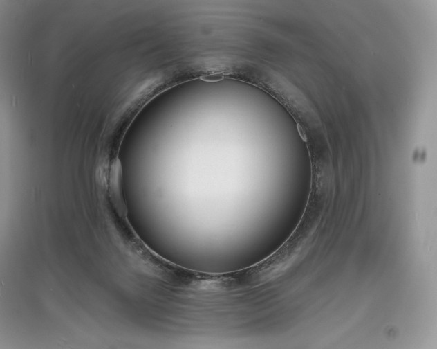 X0000097630072200803071540