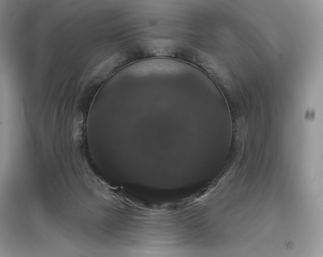 X0000097630073200803071540