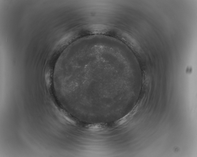 X0000097630074200803071540