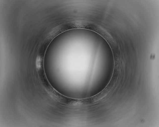 X0000097630075200803071540