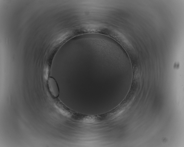 X0000097630076200803071540