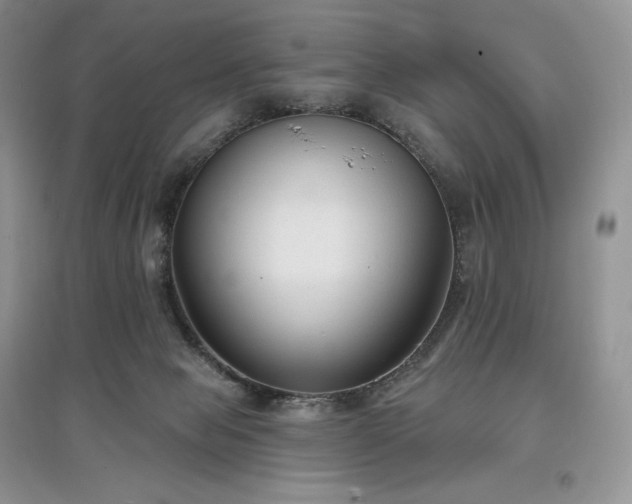 X0000097630077200803071540