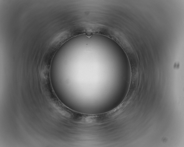 X0000097630078200803071540