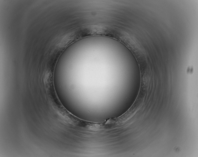 X0000097630079200803071540