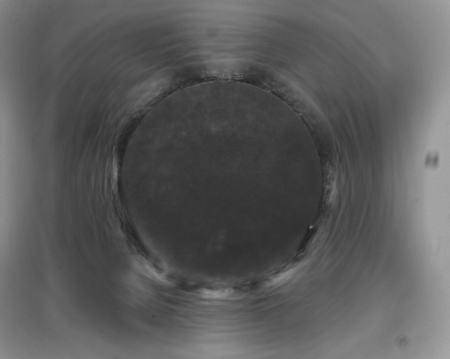 X0000097630080200803071540