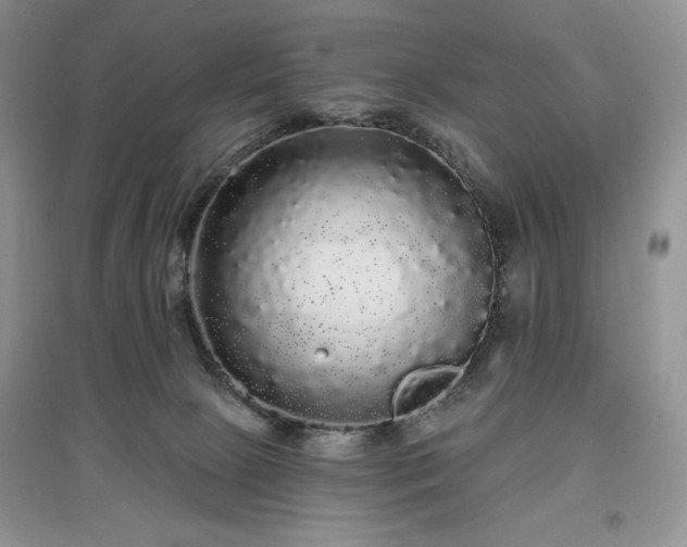 X0000097630081200803071540