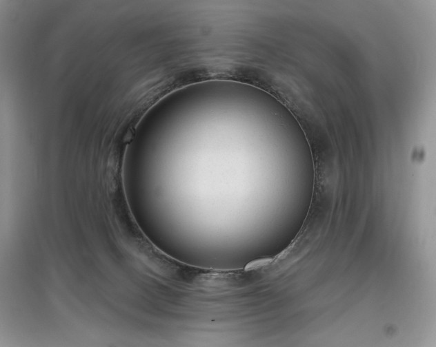 X0000097630082200803071540