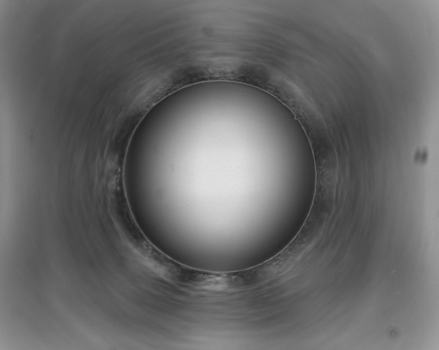 X0000097630083200803071540