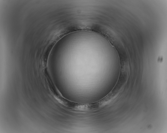 X0000097630084200803071540