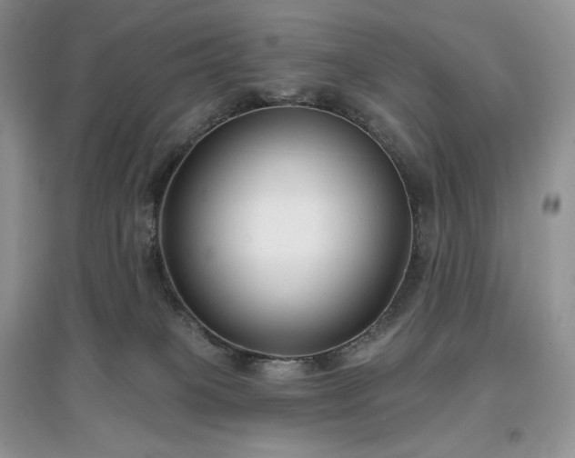 X0000097630085200803071540