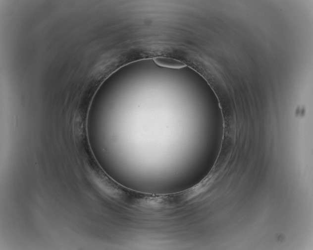 X0000097630086200803071540