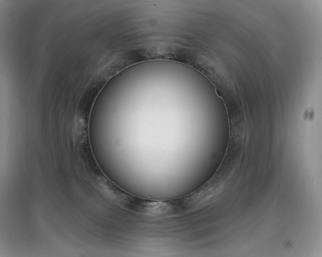 X0000097630087200803071540