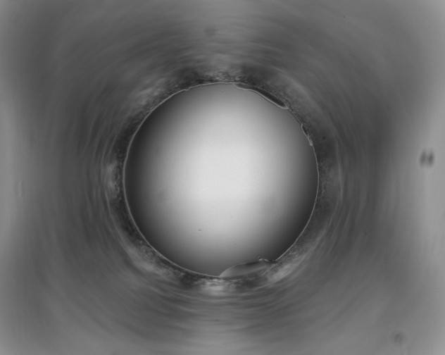 X0000097630088200803071540