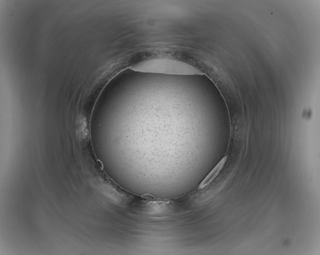 X0000097630089200803071540