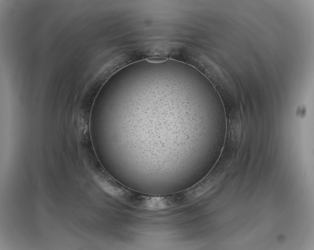 X0000097630091200803071540