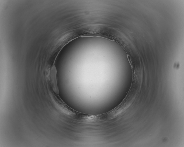 X0000097630092200803071540