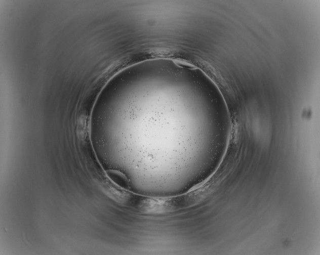 X0000097630093200803071540