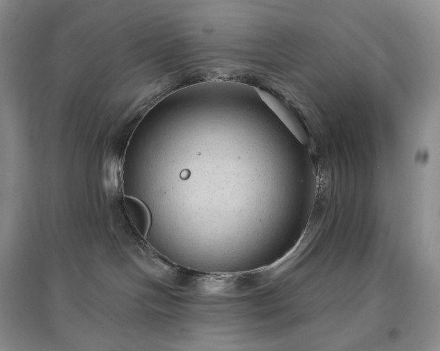 X0000097630094200803071540