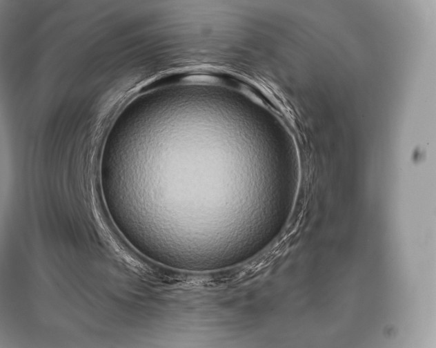 X0000097630097200803071540