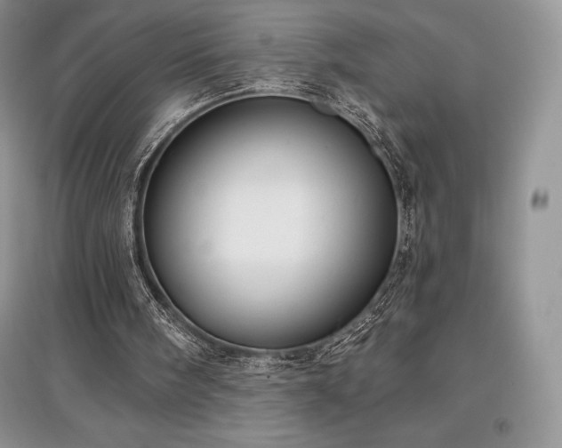 X0000097630098200803071540