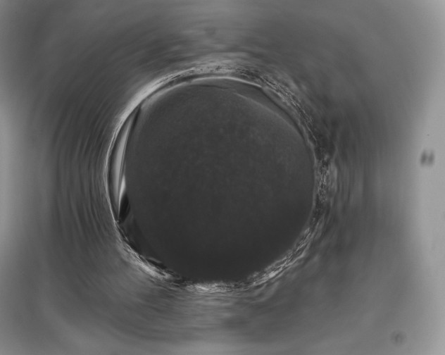 X0000097630100200803071540