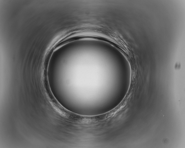 X0000097630101200803071540