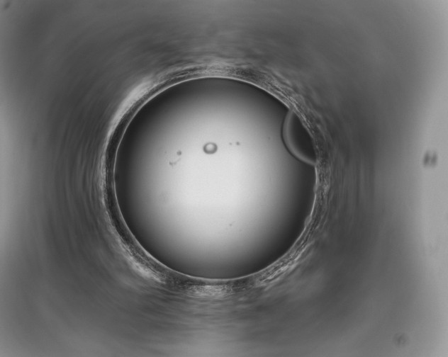 X0000097630102200803071540