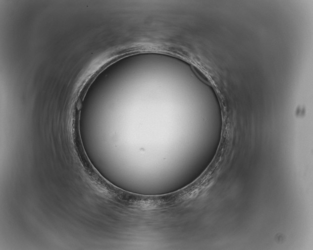 X0000097630103200803071540