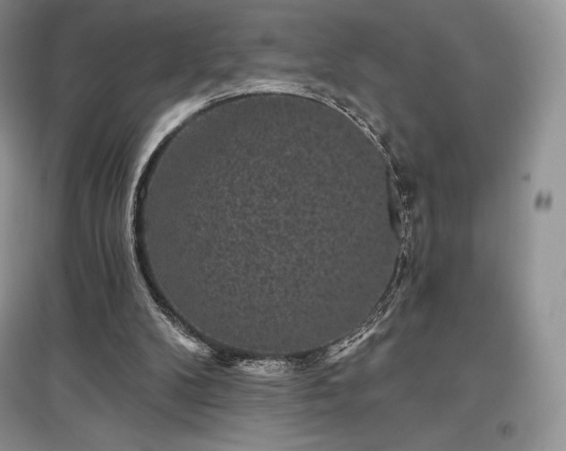 X0000097630104200803071540