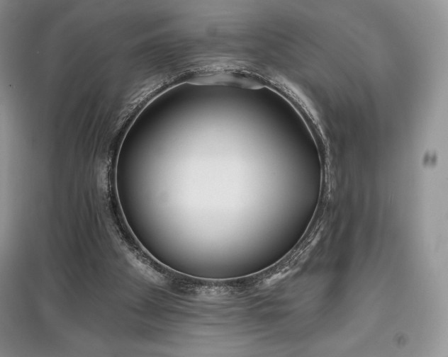 X0000097630105200803071540