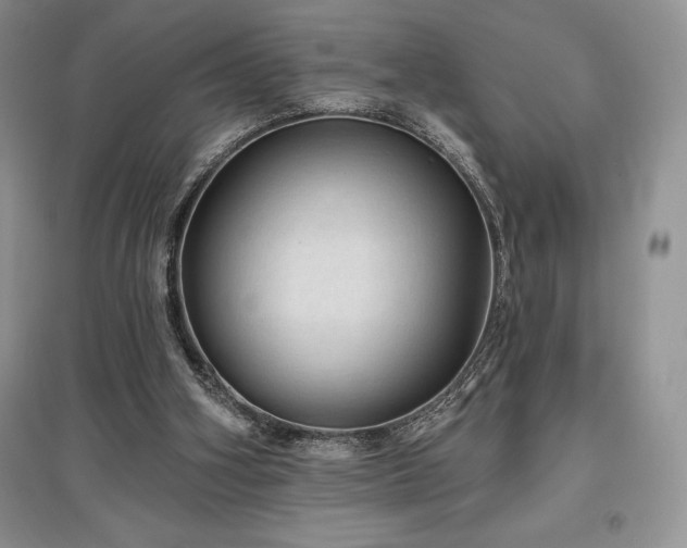 X0000097630106200803071540