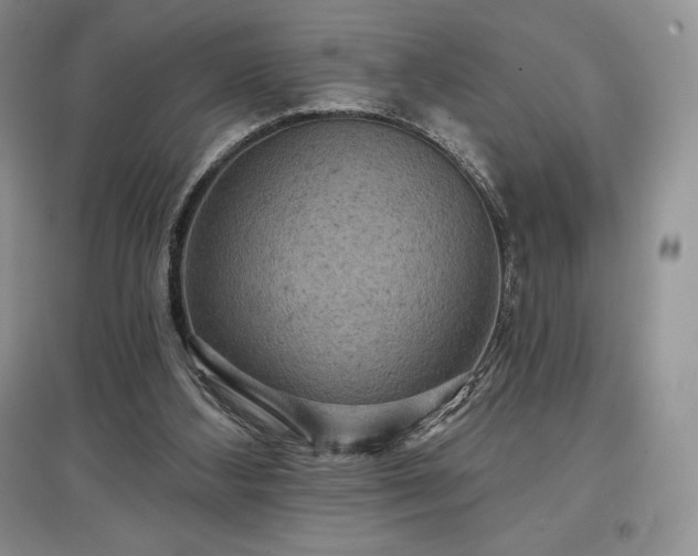 X0000097630108200803071540