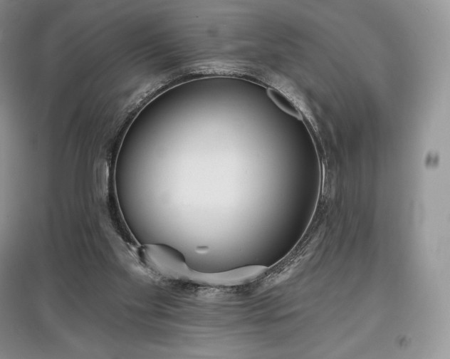 X0000097630109200803071540