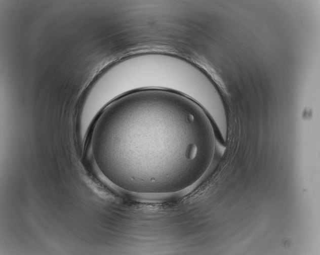 X0000097630110200803071540