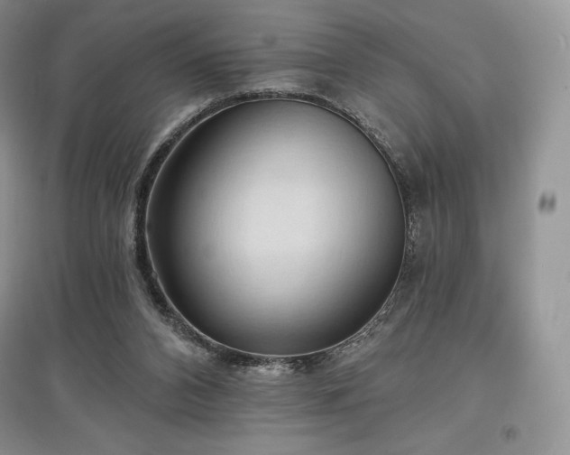 X0000097630112200803071540