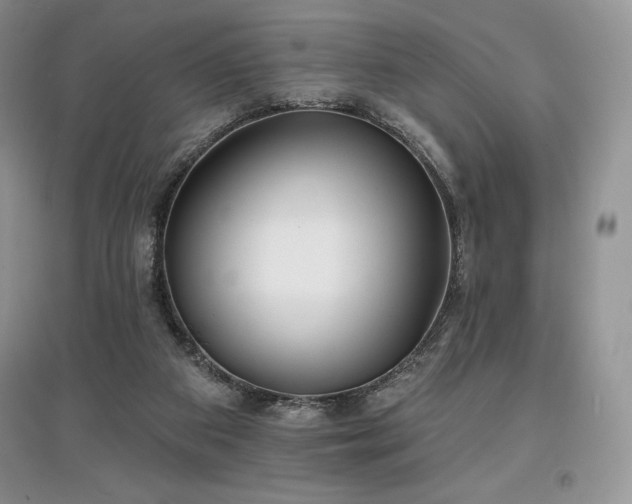 X0000097630113200803071539