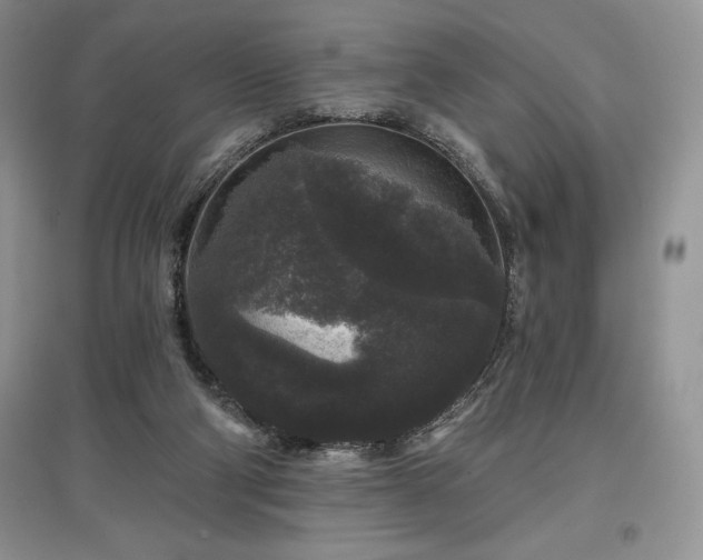 X0000097630114200803071539