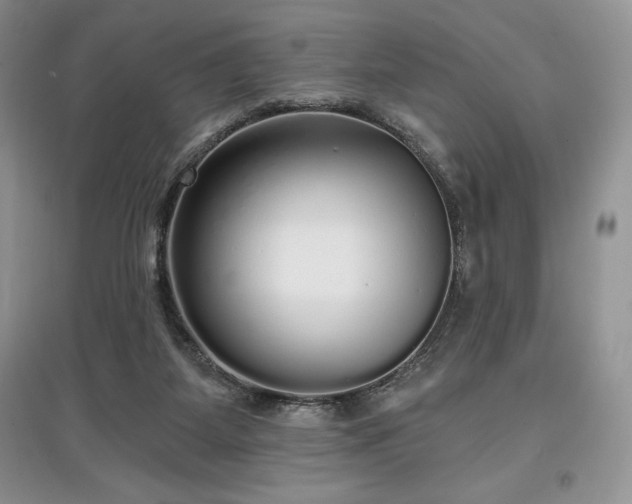 X0000097630115200803071539