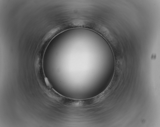 X0000097630116200803071539