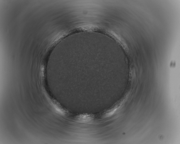 X0000097630117200803071539