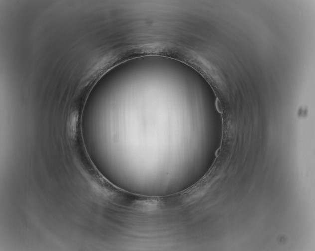 X0000097630118200803071539