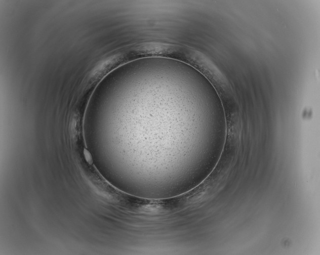 X0000097630119200803071539