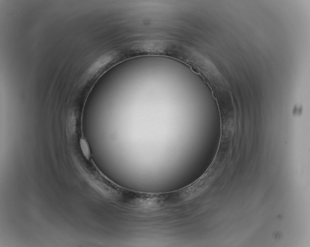 X0000097630120200803071539