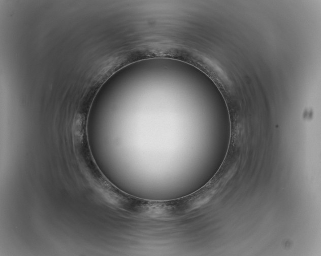 X0000097630121200803071539