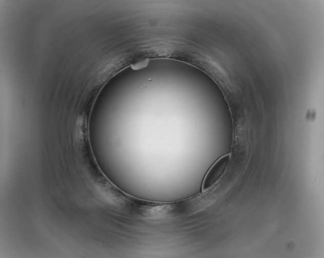 X0000097630122200803071539