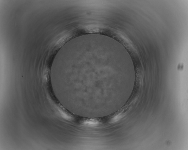 X0000097630125200803071539